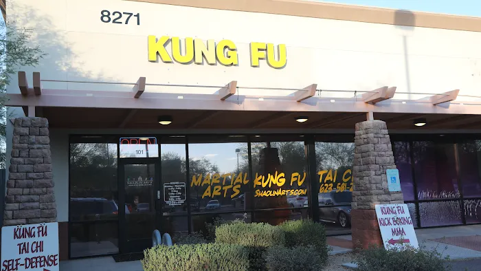 Shaolin Arts Kung Fu and Tai Chi Picture 6