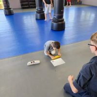 Atkinsons Martial Arts Inc. ico