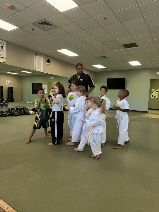 Premier Martial Arts Peoria Picture 1