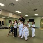Premier Martial Arts Peoria