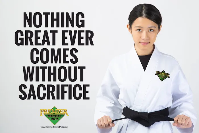 Premier Martial Arts Peoria Picture 4