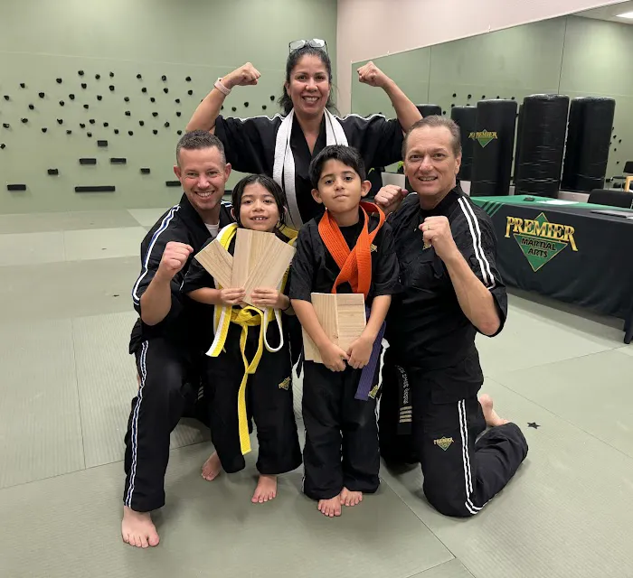 Premier Martial Arts Peoria Picture 2