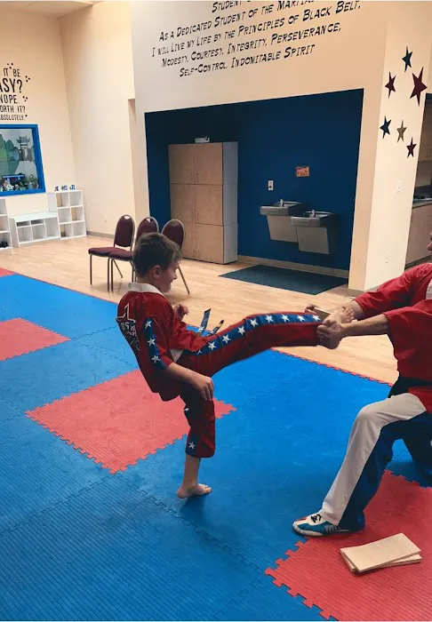 Premier Martial Arts Peoria Picture 3