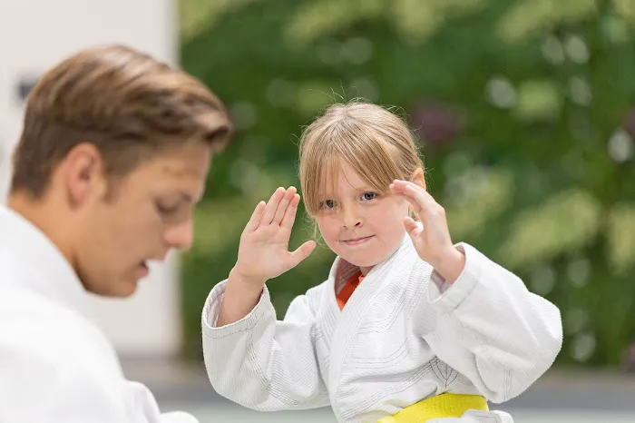 The Hidden Dojo Picture 7