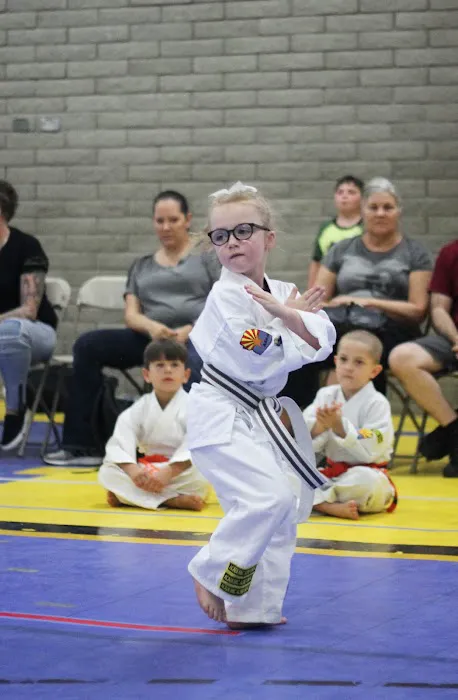 No Limits Karate Academy Picture 6