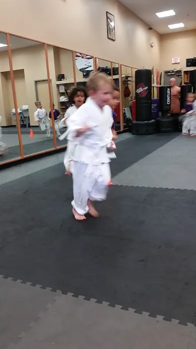 No Limits Karate Academy Picture 4