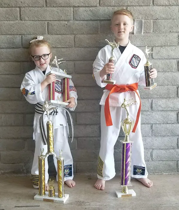 No Limits Karate Academy Picture 7