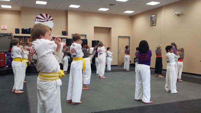 No Limits Karate Academy Picture 2