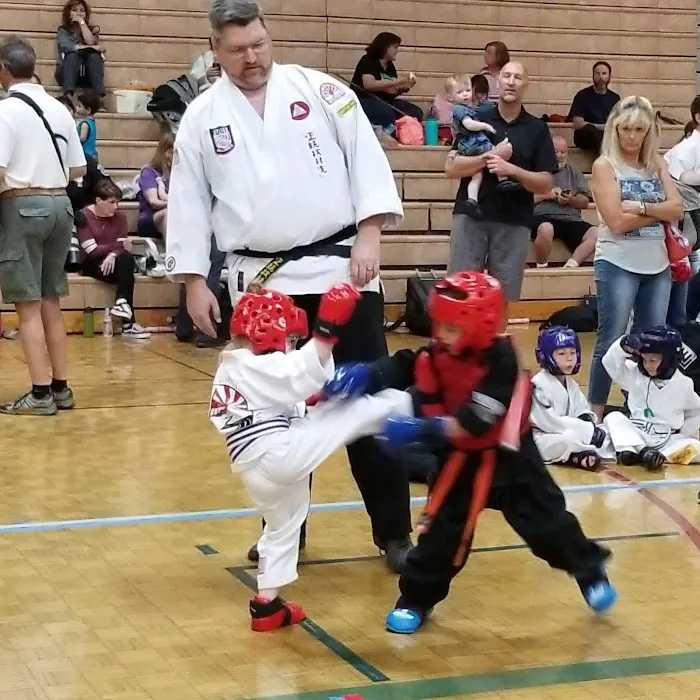 No Limits Karate Academy Picture 3