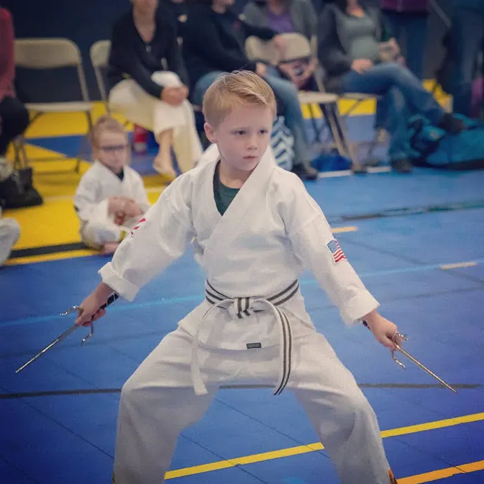 No Limits Karate Academy Picture 5