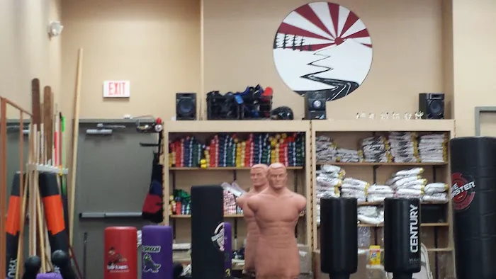 No Limits Karate Academy Picture 1