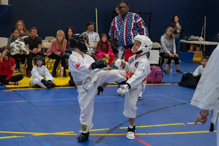 No Limits Karate Academy Picture 9