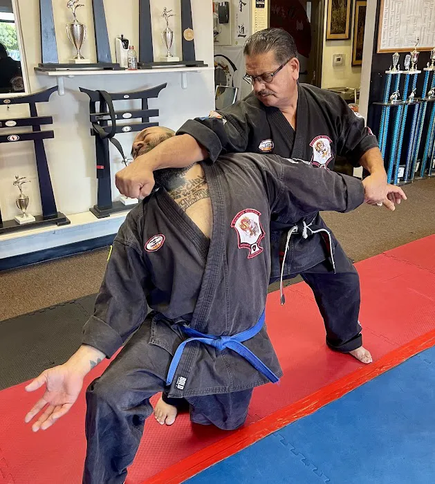 Edward Chavez Kenpo Karate Institute LLC Picture 9