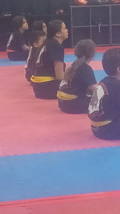 Edward Chavez Kenpo Karate Institute LLC Picture 8