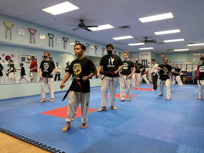 Yong-In Master An's Tae Kwondo Picture 7