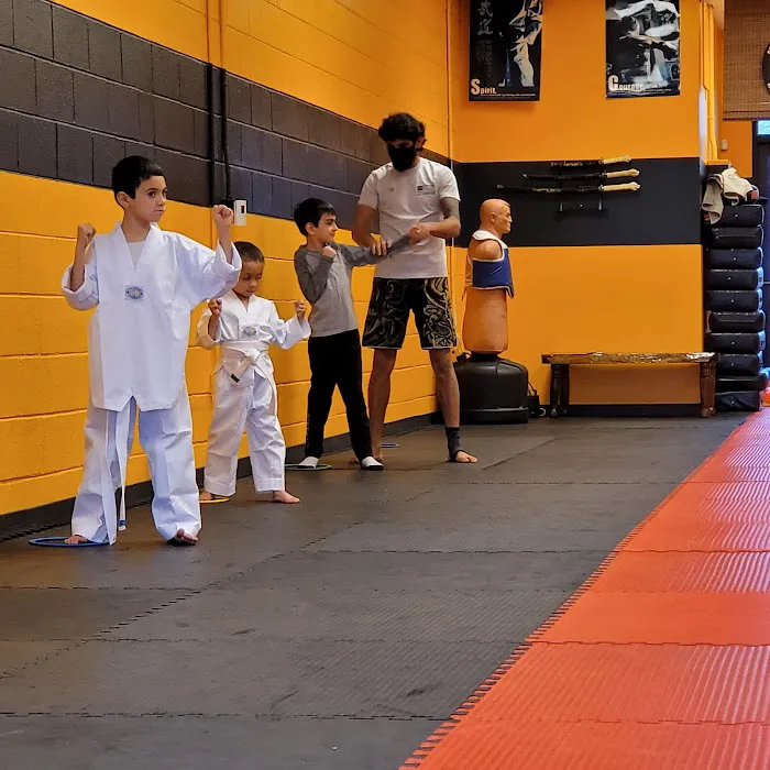 Master Haydar's Black Belt Academy Picture 4