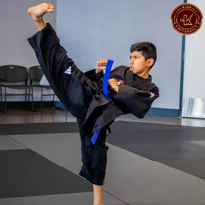 Kick University Picture 8