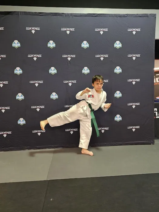 Legendary Martial Arts Picture 10