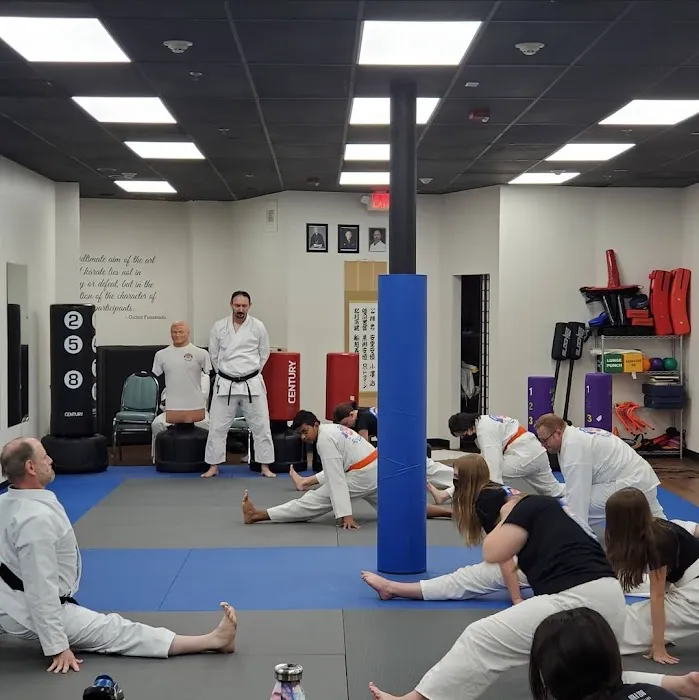 North Peoria Karate Academy Picture 1