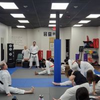 North Peoria Karate Academy ico