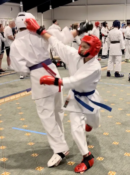 North Peoria Karate Academy Picture 6