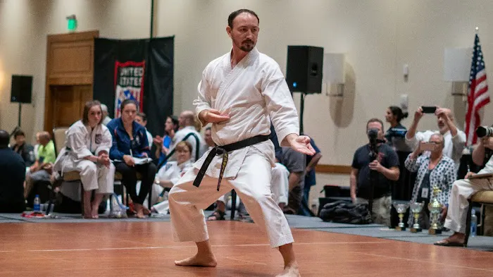 North Peoria Karate Academy Picture 7