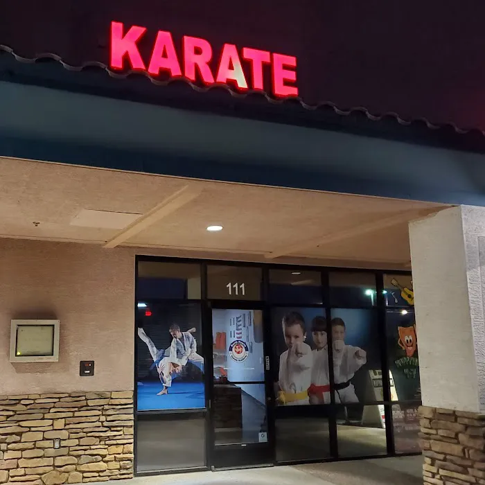 North Peoria Karate Academy Picture 4