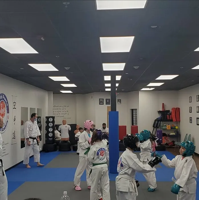 North Peoria Karate Academy Picture 10