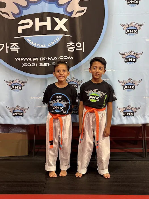 PHX Martial Arts Picture 1