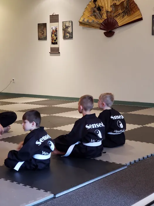 SenseiJ Martial Arts Picture 5