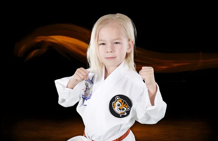 Lee's ATA Martial Arts Picture 6