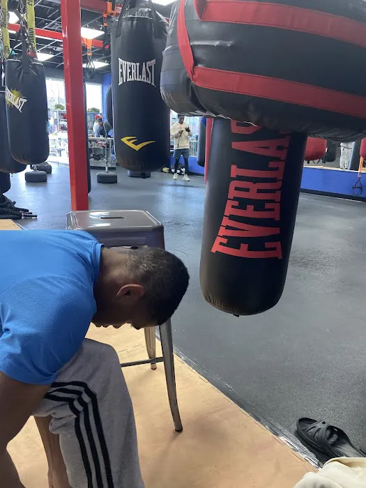 CAT Sigalas Martial Arts & Boxing Picture 2