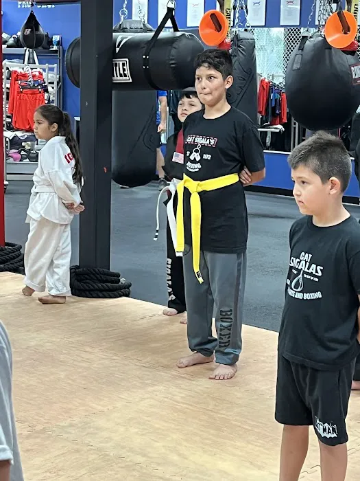 CAT Sigalas Martial Arts & Boxing Picture 3