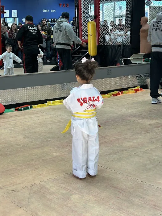 CAT Sigalas Martial Arts & Boxing Picture 8