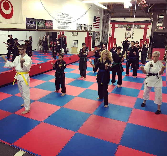 Shorei Goju Karate Academy Picture 1