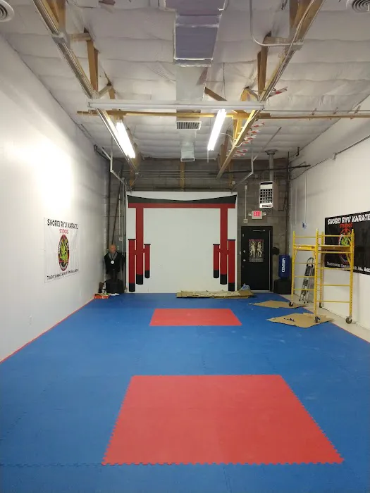 Shorei Goju Karate Academy Picture 5