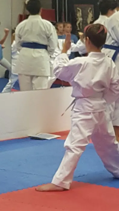 Shorei Goju Karate Academy Picture 8