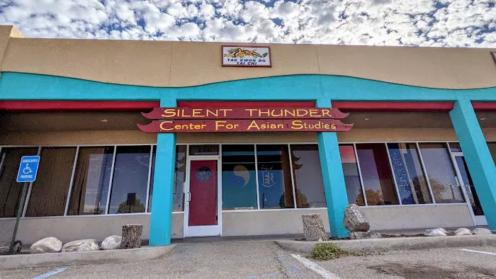 Silent Thunder Martial Arts and Meditation Center Picture 3