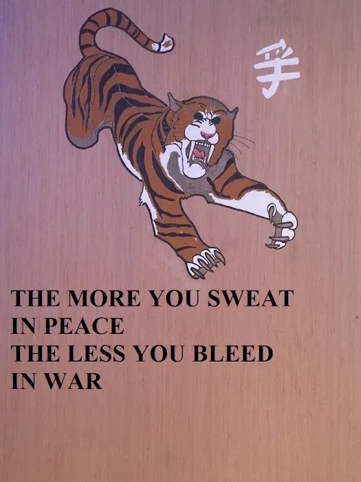 Silent Thunder Martial Arts and Meditation Center Picture 7