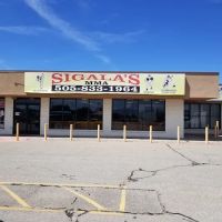 Sigala's Tae-Kwan-Do ico