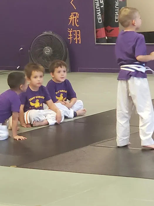 Mountain Eagle Karate Academy Picture 1