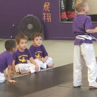 Mountain Eagle Karate Academy ico