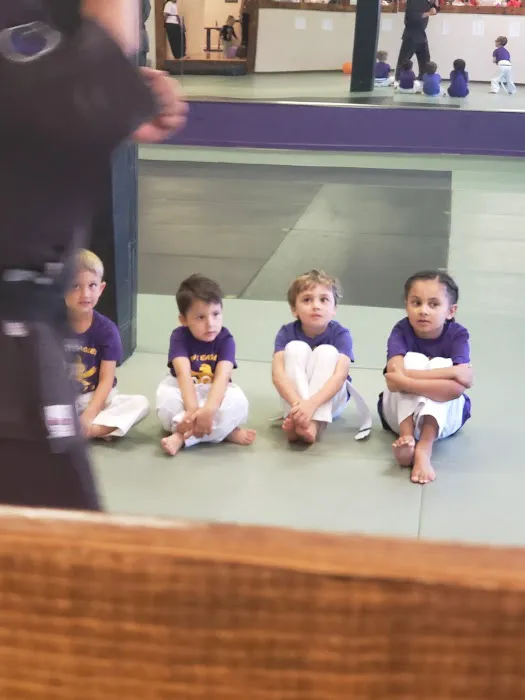 Mountain Eagle Karate Academy Picture 2