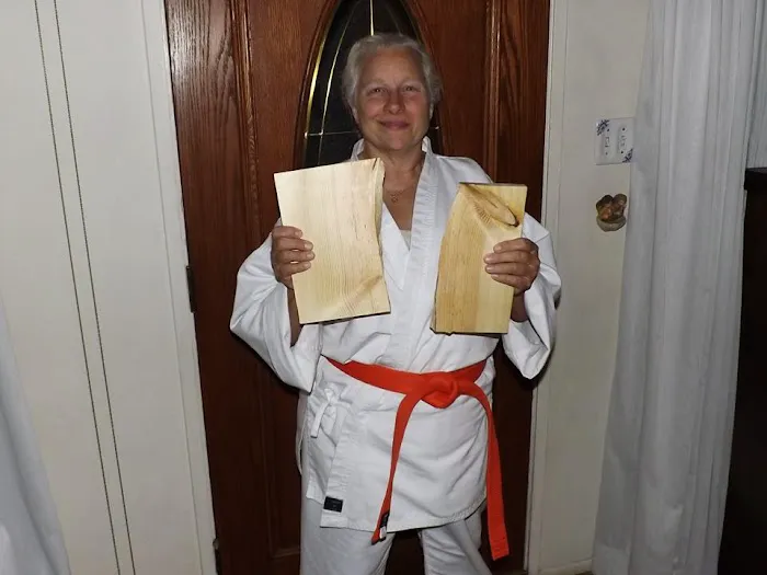 Mountain Eagle Karate Academy Picture 5