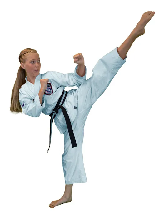 Mountain Eagle Karate Academy Picture 9