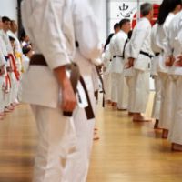 Japan Karate Association of NM ico