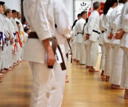 Japan Karate Association of NM