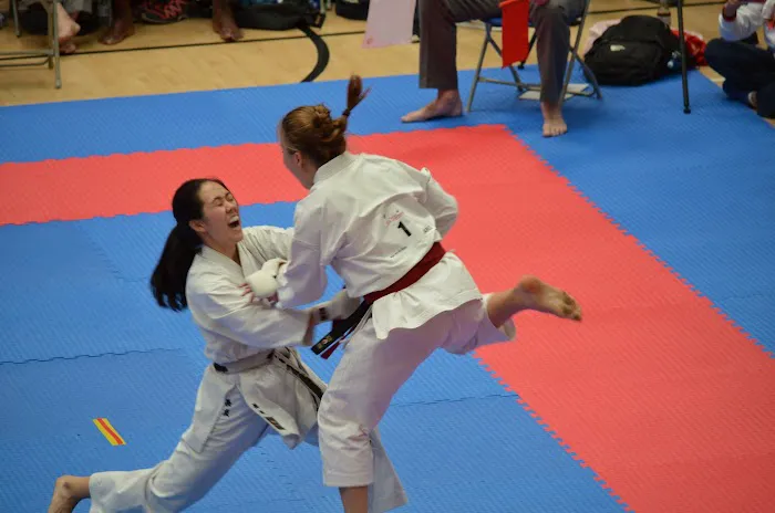 Japan Karate Association of NM Picture 4