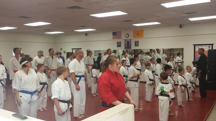 AKKA Karate USA Picture 8