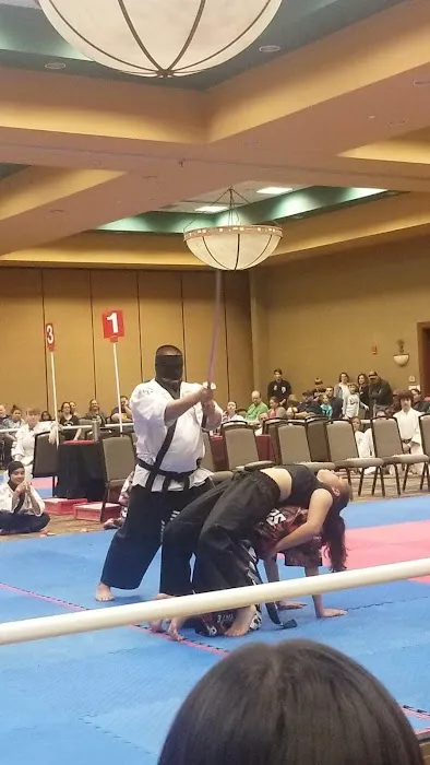 Viper's Sport Karate Picture 3